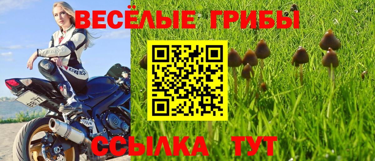 Сатка  Галлюциногенные грибы мицелий  Галлюциногенные грибы Magic Shrooms  Вход с VPN 