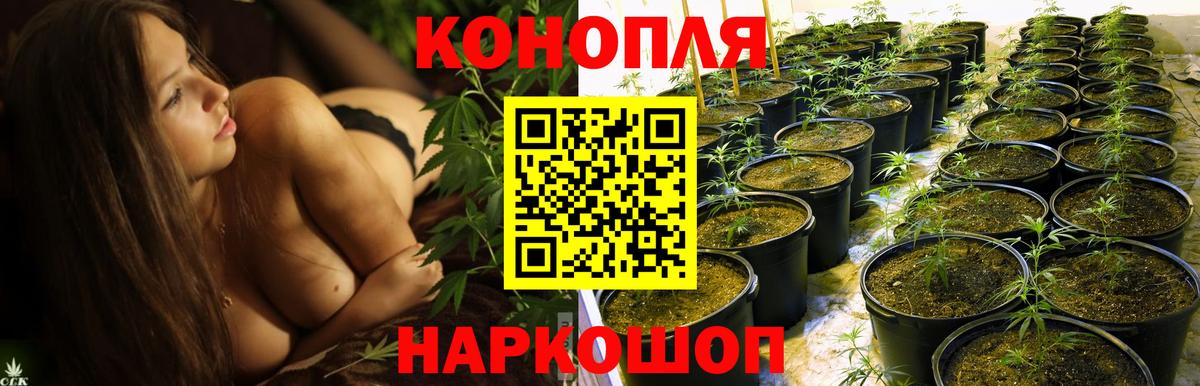 Каннабис Bruce Banner  Вход с VPN  Сатка  Каннабис SATIVA & INDICA 